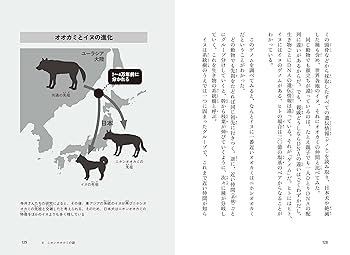 地球 絶滅昆虫記　の挿絵　四本充氏の原画② 絶滅してない! ぼくがまぼろしの動物を探す理由 | 宗像充 |本
